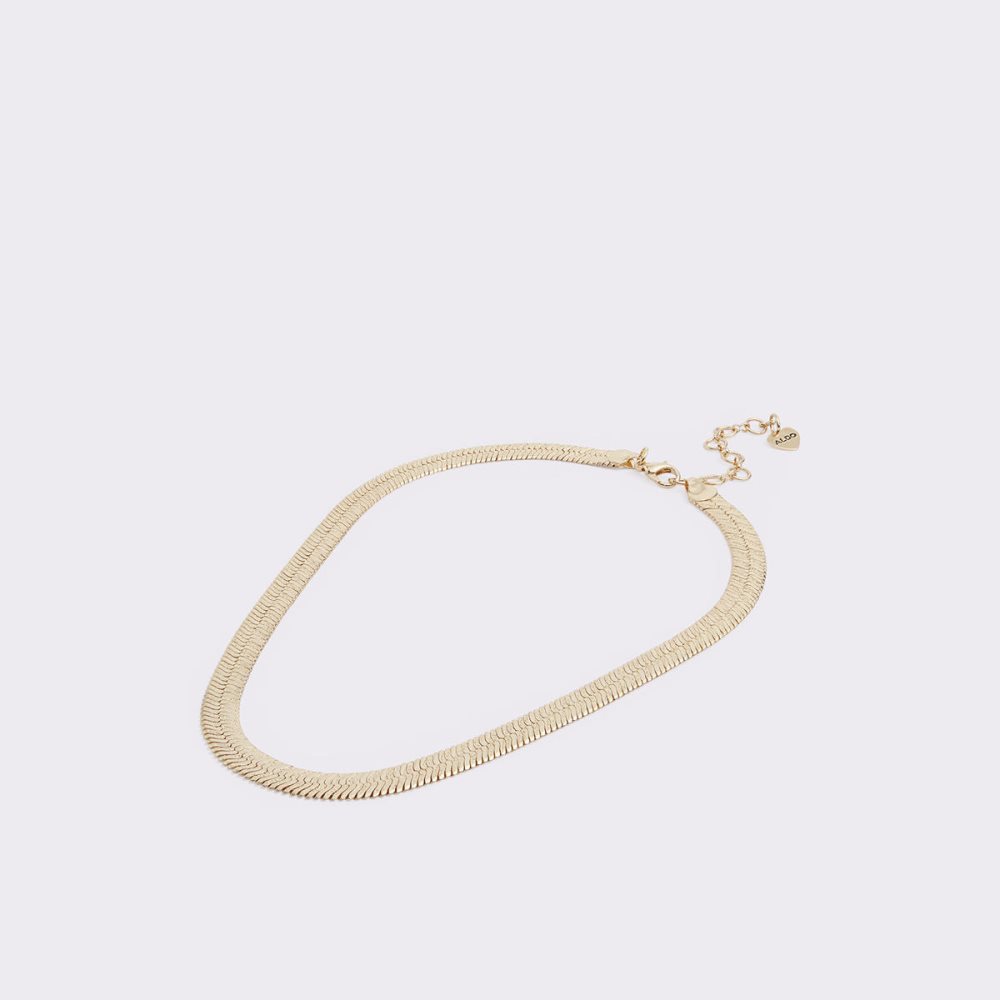 Gold Aldo Iberacia Necklace | 89KODMRPS