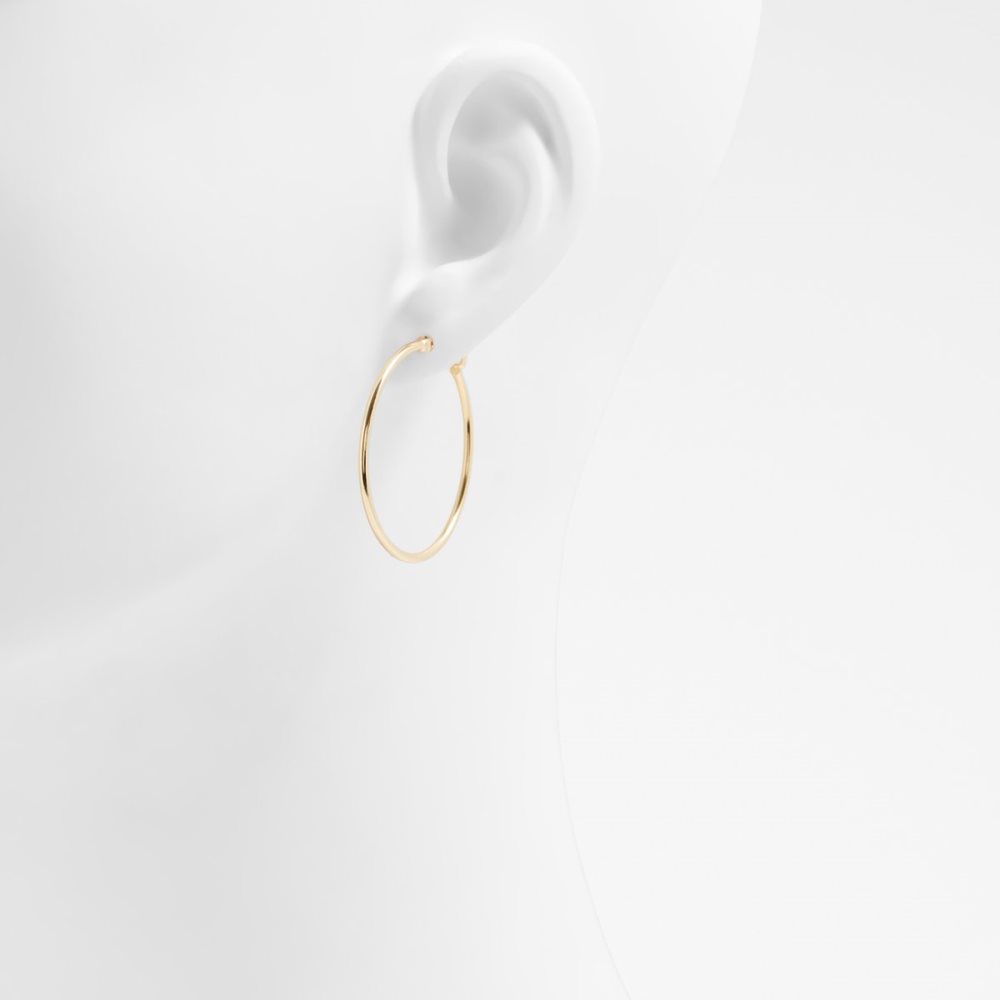 Gold Aldo Jaborosa Hoop Earrings | 25MGBCKJN