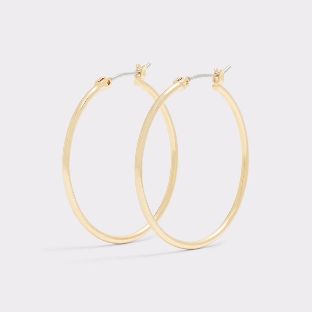 Gold Aldo Jaborosa Hoop Earrings | 25MGBCKJN