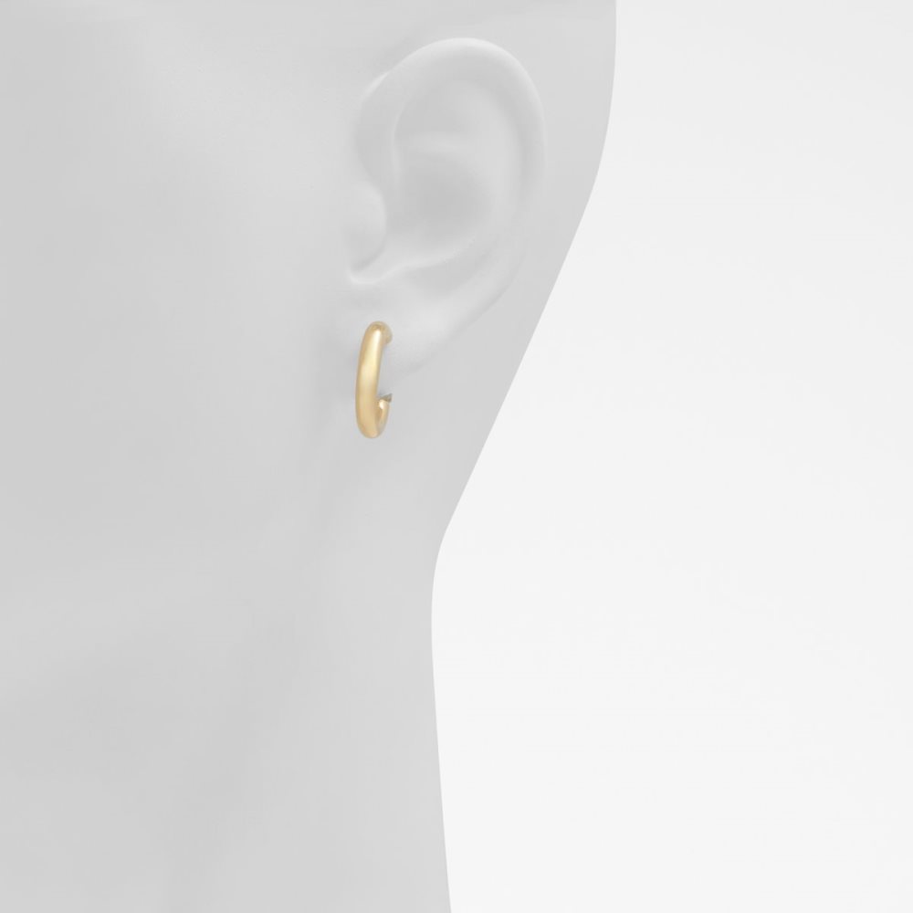 Gold Aldo Jenniaa Hoop Earrings | 49XSNTDUF