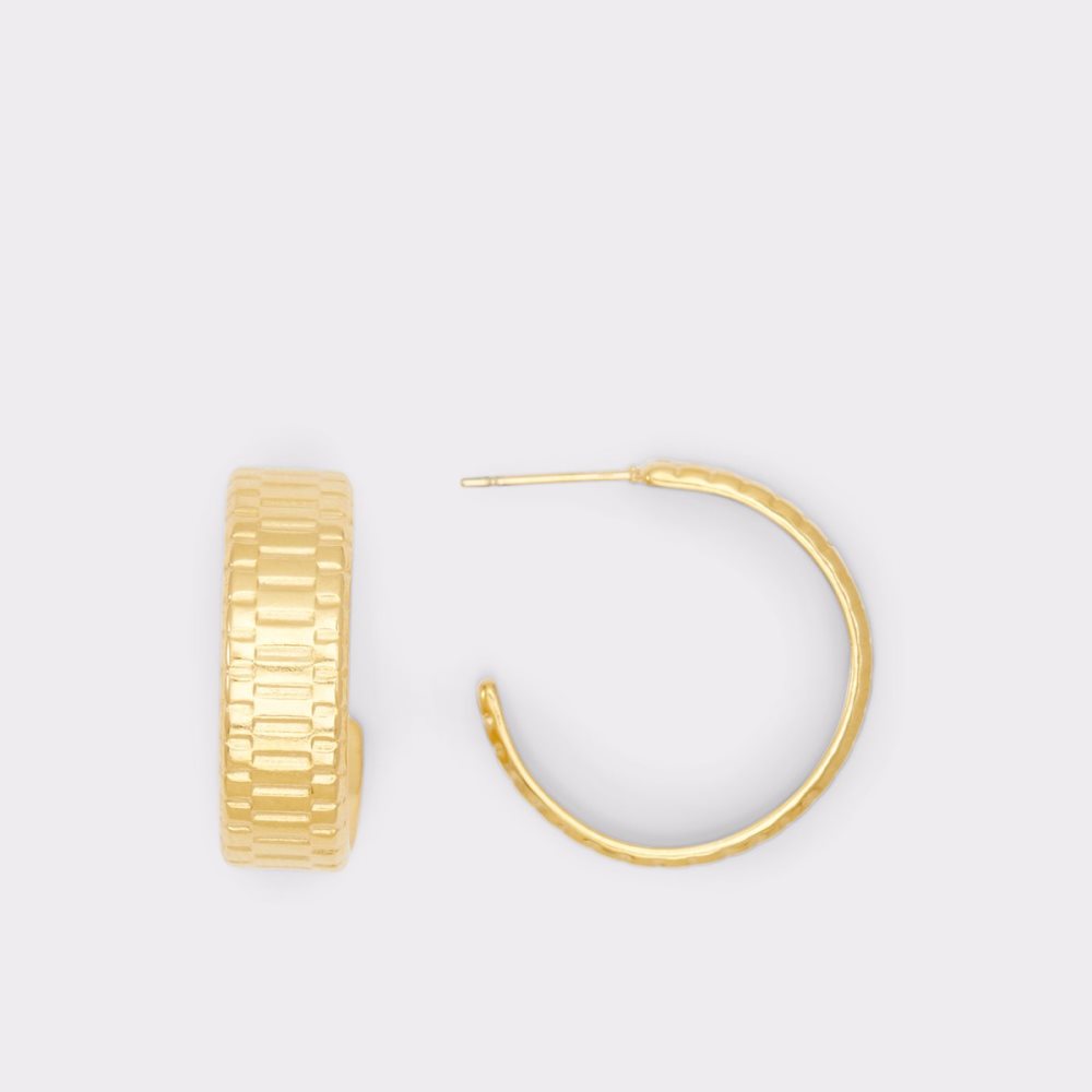 Gold Aldo Lothoa Earrings | 26HJZGSRO