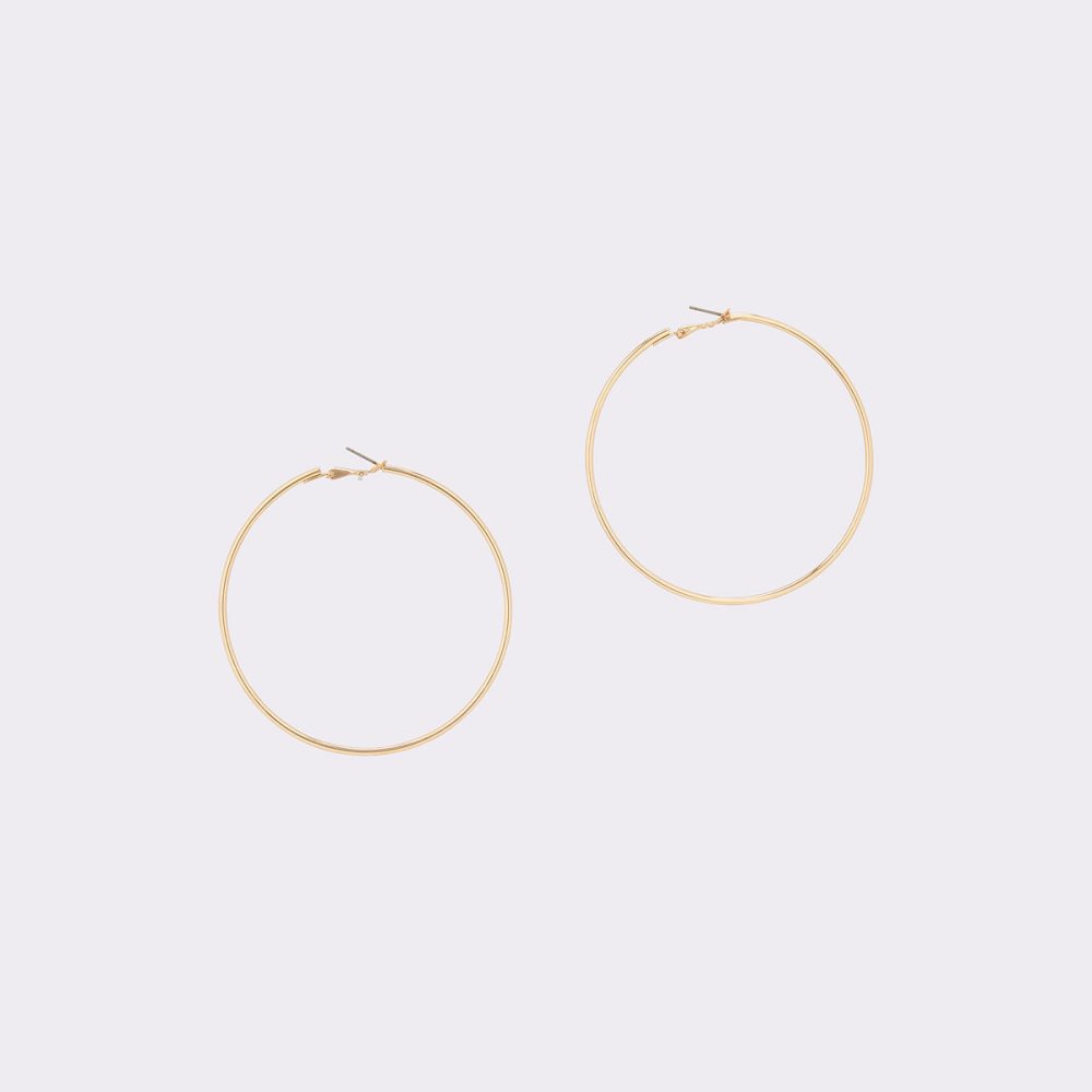 Gold Aldo Lovima Hoop Earrings | 48YCPTURN