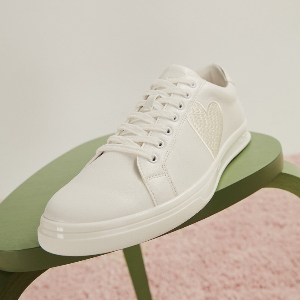 White Aldo Blacktie Low Top Sneakers | 06TASGYZC